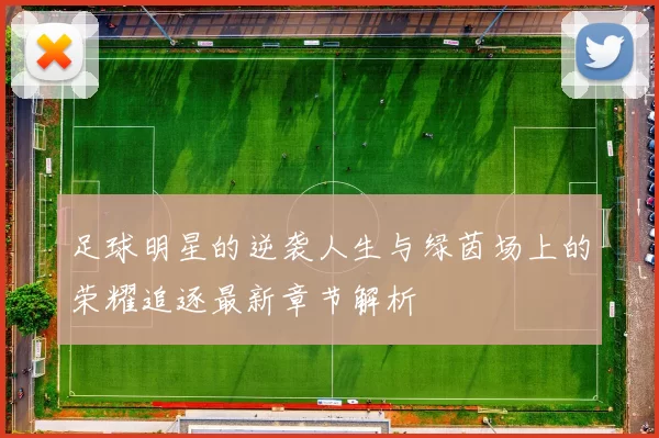 足球明星的逆袭人生与绿茵场上的荣耀追逐最新章节解析