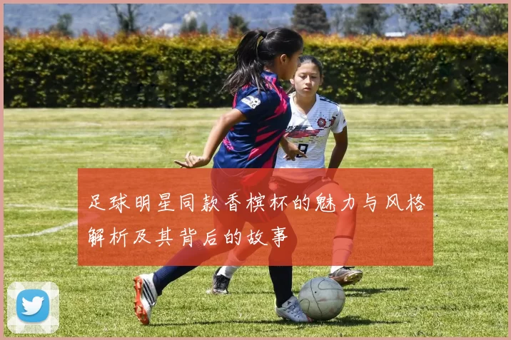 足球明星同款香槟杯的魅力与风格解析及其背后的故事