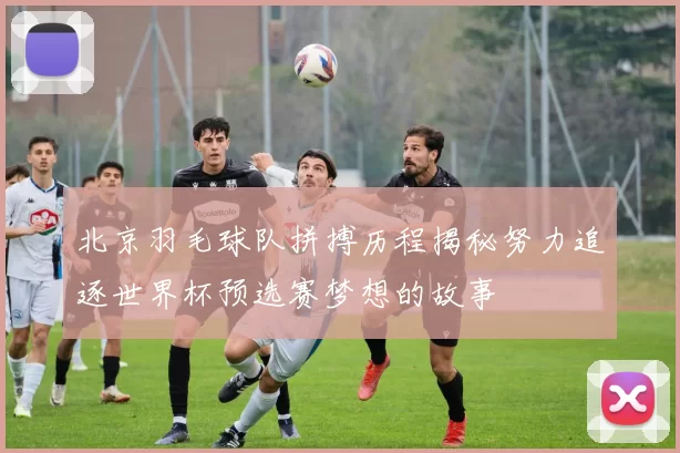 北京羽毛球队拼搏历程揭秘努力追逐世界杯预选赛梦想的故事
