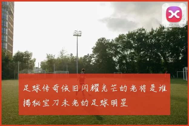 足球传奇依旧闪耀光芒的老将是谁揭秘宝刀未老的足球明星
