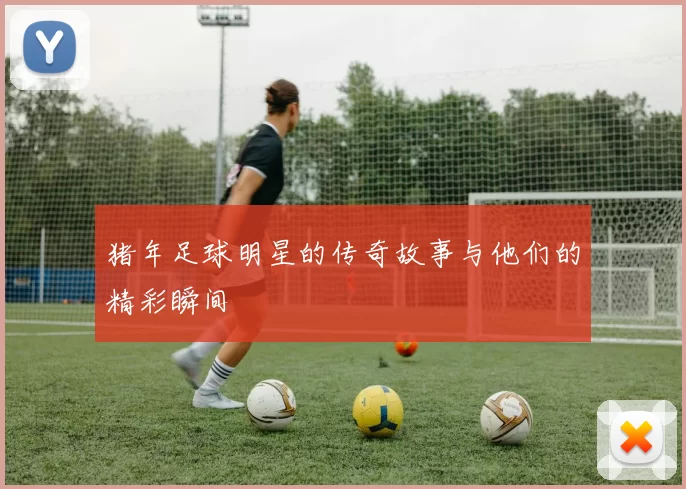 猪年足球明星的传奇故事与他们的精彩瞬间