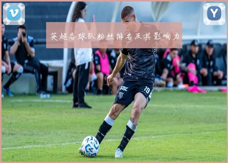英超各球队粉丝排名及其影响力