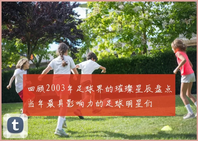 回顾2003年足球界的璀璨星辰盘点当年最具影响力的足球明星们