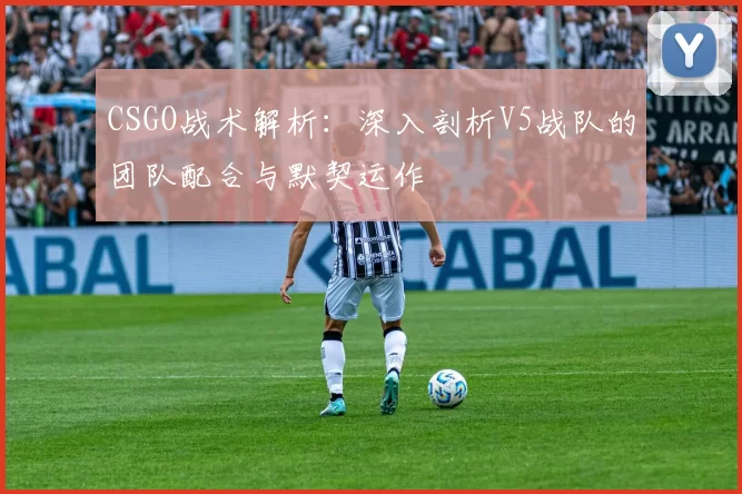 CSGO战术解析：深入剖析V5战队的团队配合与默契运作