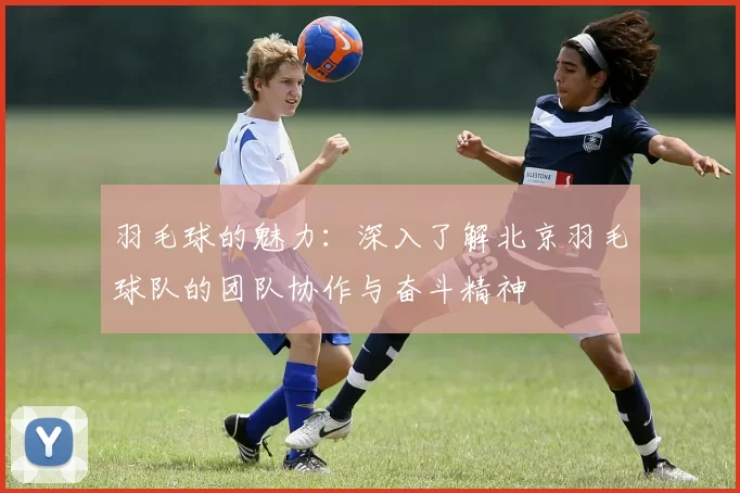 羽毛球的魅力：深入了解北京羽毛球队的团队协作与奋斗精神