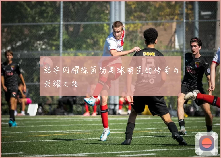 诺字闪耀绿茵场足球明星的传奇与荣耀之路