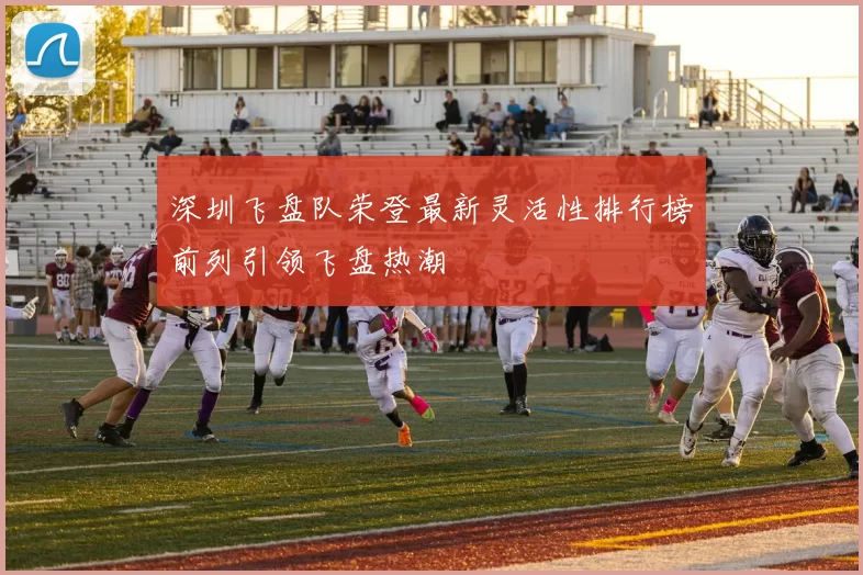 深圳飞盘队荣登最新灵活性排行榜前列引领飞盘热潮
