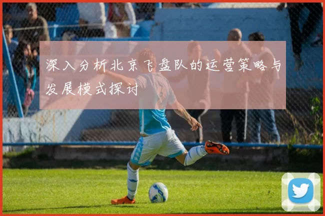 深入分析北京飞盘队的运营策略与发展模式探讨
