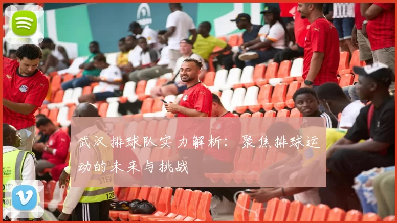 武汉排球队实力解析：聚焦排球运动的未来与挑战