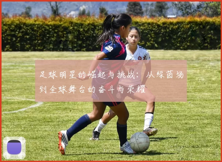 足球明星的崛起与挑战：从绿茵场到全球舞台的奋斗与荣耀
