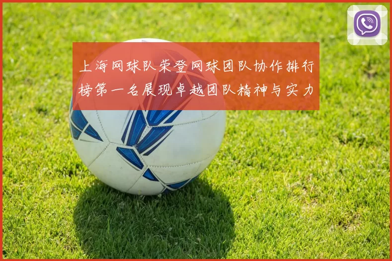 上海网球队荣登网球团队协作排行榜第一名展现卓越团队精神与实力