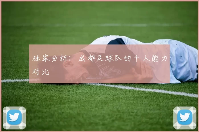 独家分析：成都足球队的个人能力对比