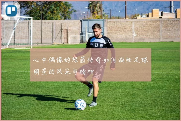 心中偶像的绿茵传奇如何描绘足球明星的风采与精神