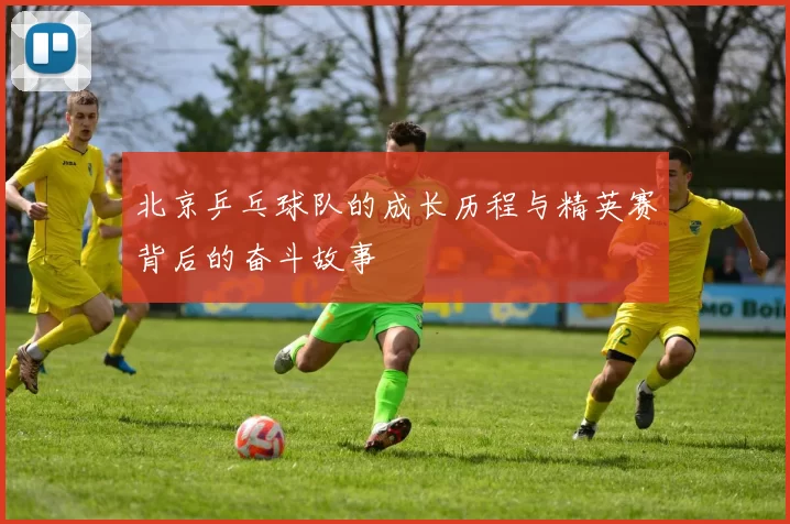 北京乒乓球队的成长历程与精英赛背后的奋斗故事