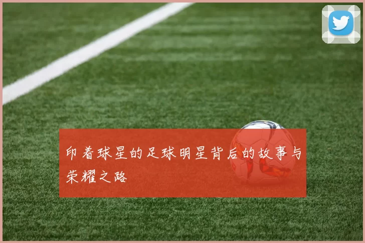 印着球星的足球明星背后的故事与荣耀之路