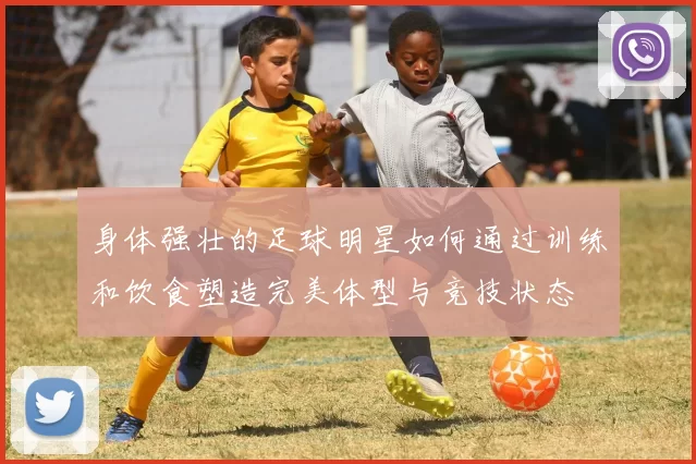 身体强壮的足球明星如何通过训练和饮食塑造完美体型与竞技状态