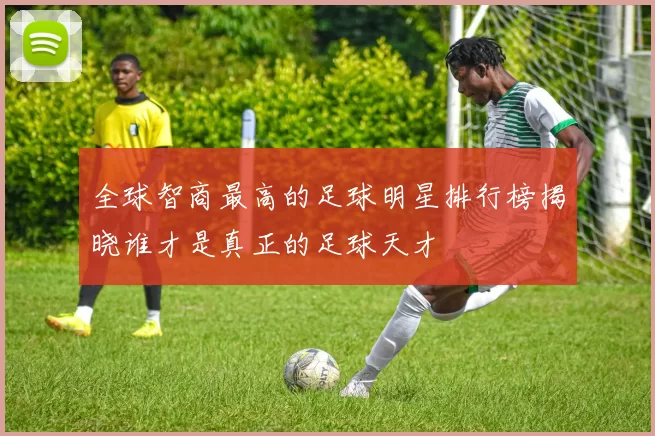 全球智商最高的足球明星排行榜揭晓谁才是真正的足球天才