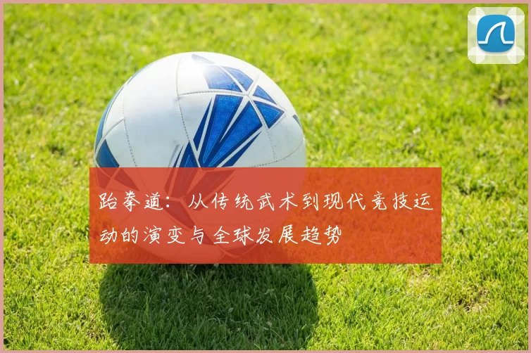跆拳道：从传统武术到现代竞技运动的演变与全球发展趋势