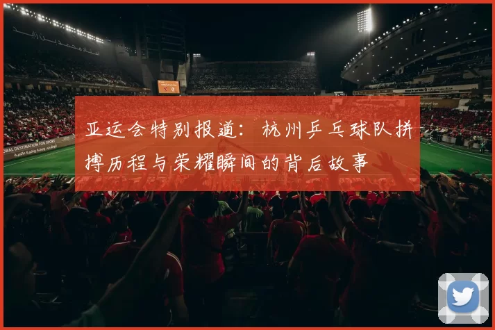 亚运会特别报道：杭州乒乓球队拼搏历程与荣耀瞬间的背后故事