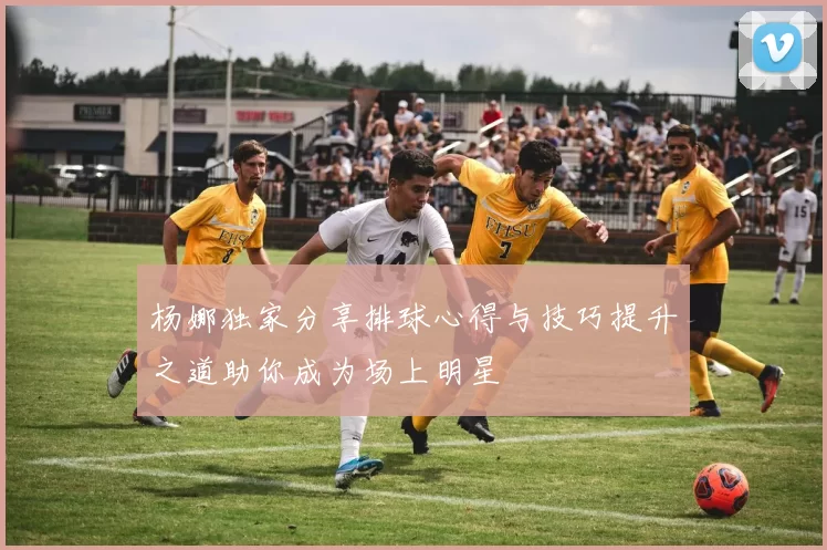 杨娜独家分享排球心得与技巧提升之道助你成为场上明星