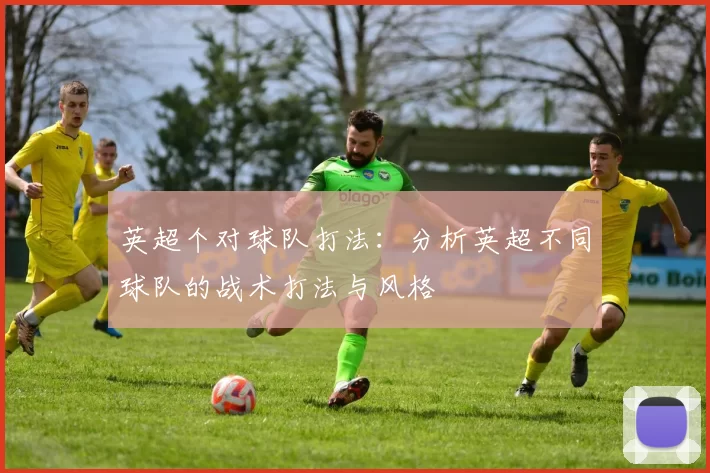 英超个对球队打法：分析英超不同球队的战术打法与风格
