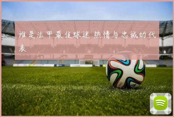 谁是法甲最佳球迷 热情与忠诚的代表