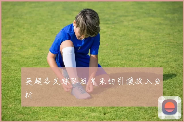 英超各支球队近年来的引援投入分析