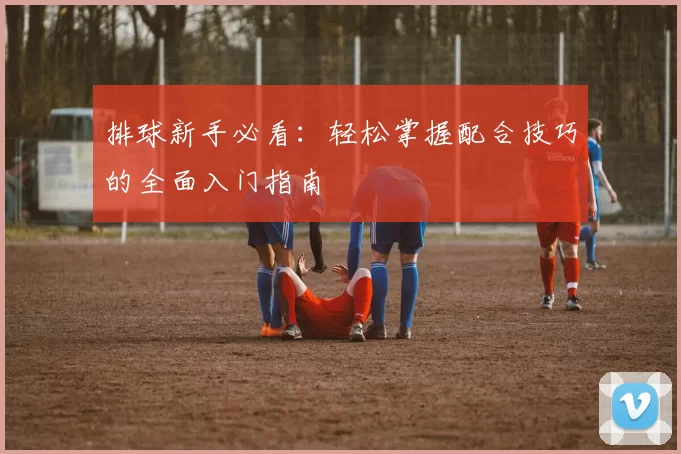 排球新手必看：轻松掌握配合技巧的全面入门指南